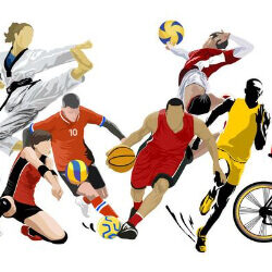 Sportsurge