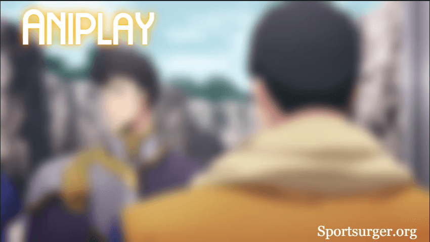 What Is Aniplay?