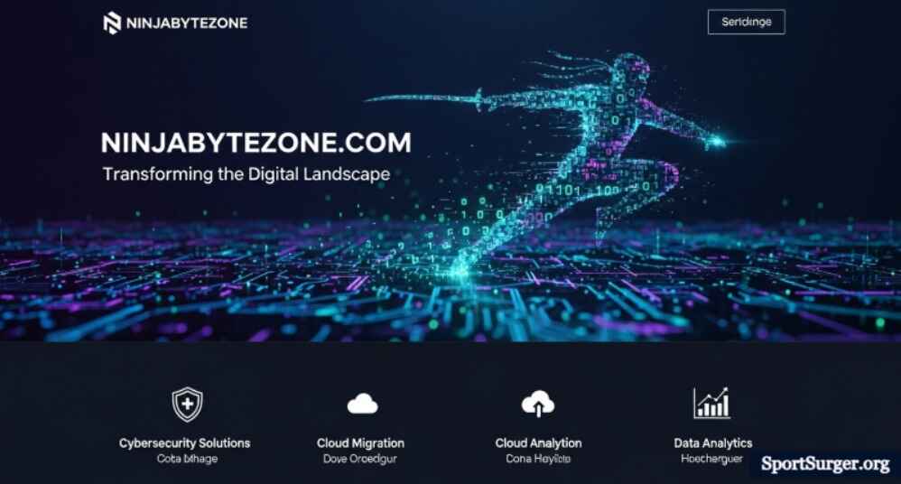 What is Ninjabytezone .com