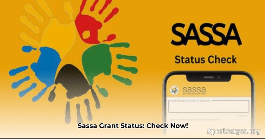 What is the sassa status check