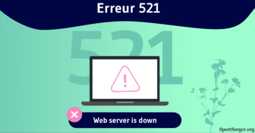 What Is Web Server Is Down Error Code 521