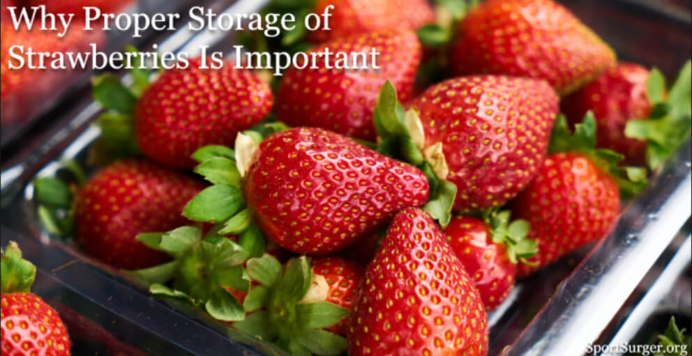 Why Proper Storage of Strawberries Is Important